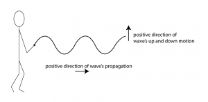 Figure 2.8 Transverse wave