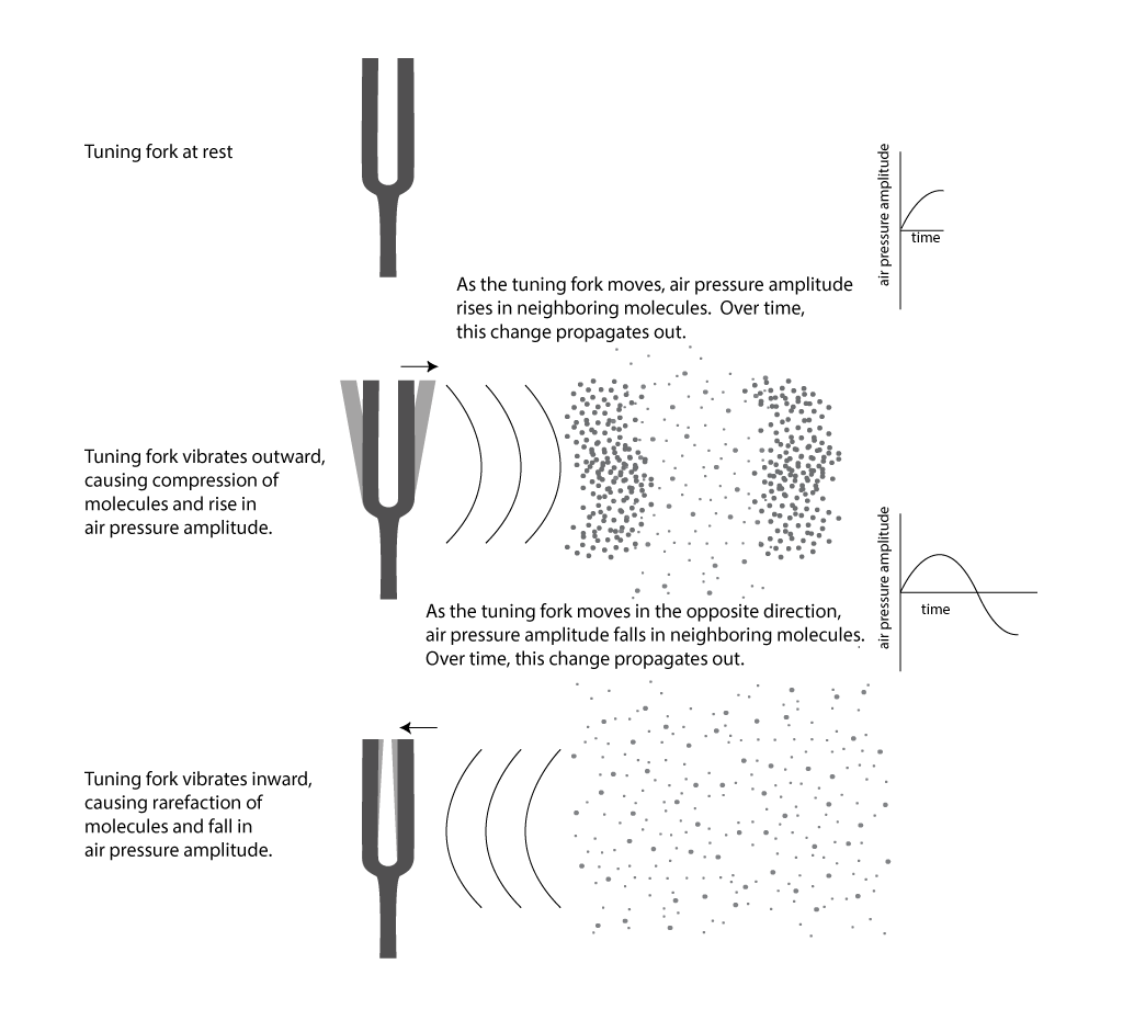 sound wave diagram labeled